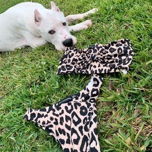 Pretty Little Things bikini